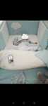 Conjunto Edredon + protetor de cama