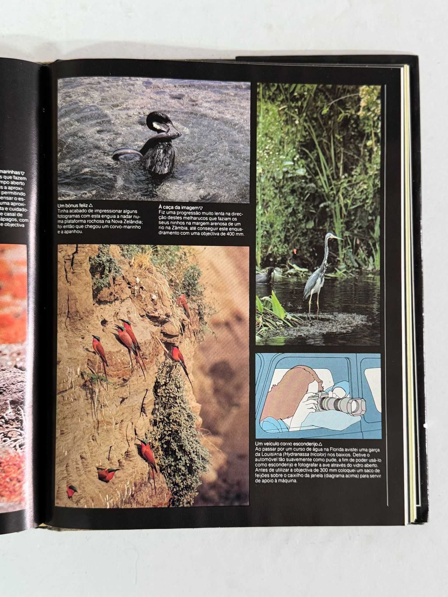 Fotografia Da Natureza - Heather Angel