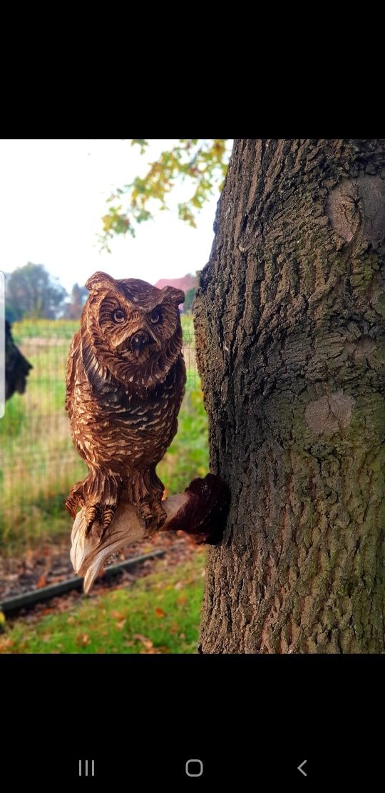 Sowy,Papugi na gałęzi  ,pniu