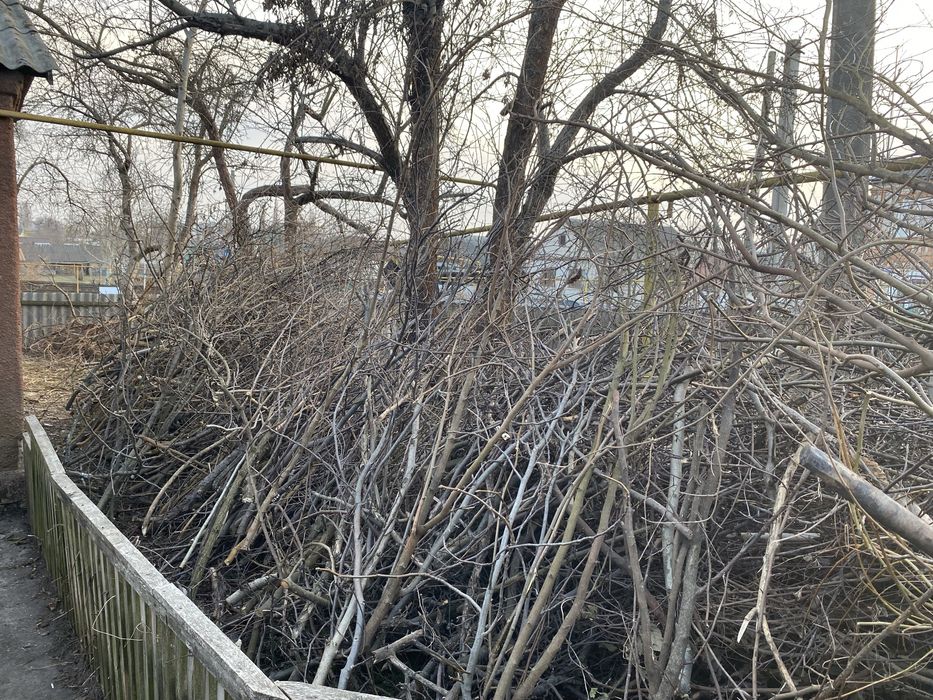 Подрібнення гілок, утилізація гілок, дробилка