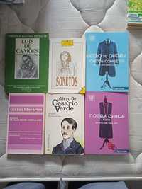 Lote de poesias de autores portugueses