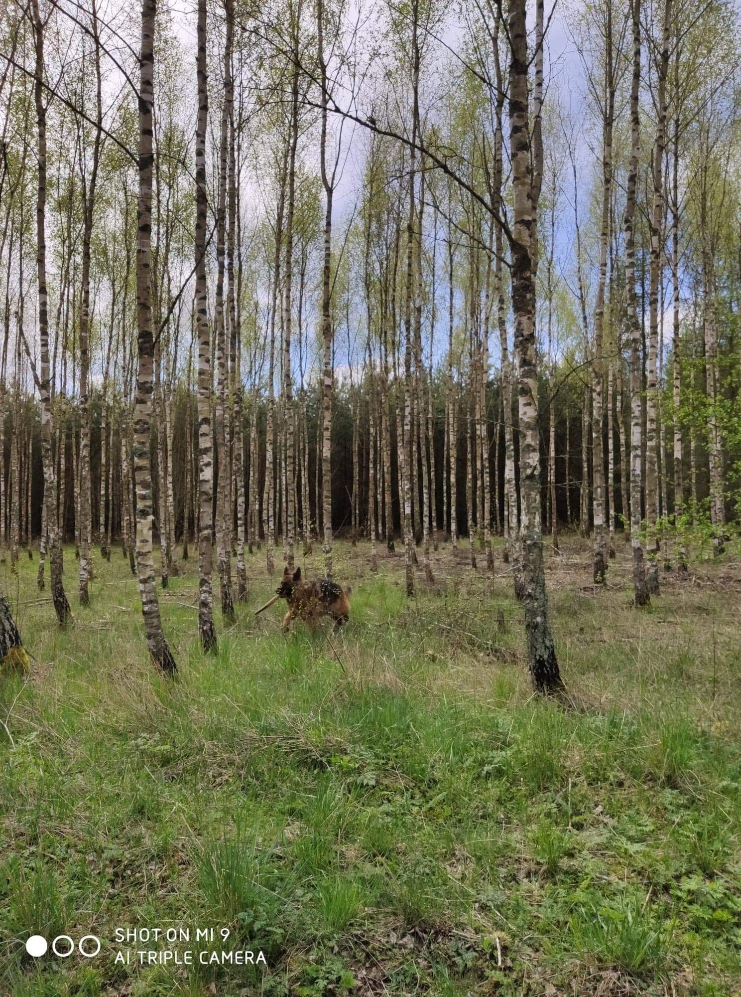 DOM przy plaży 10 os LIPIEC SIERPIEŃ WOLNE mazury  wakacje ryby grzyby