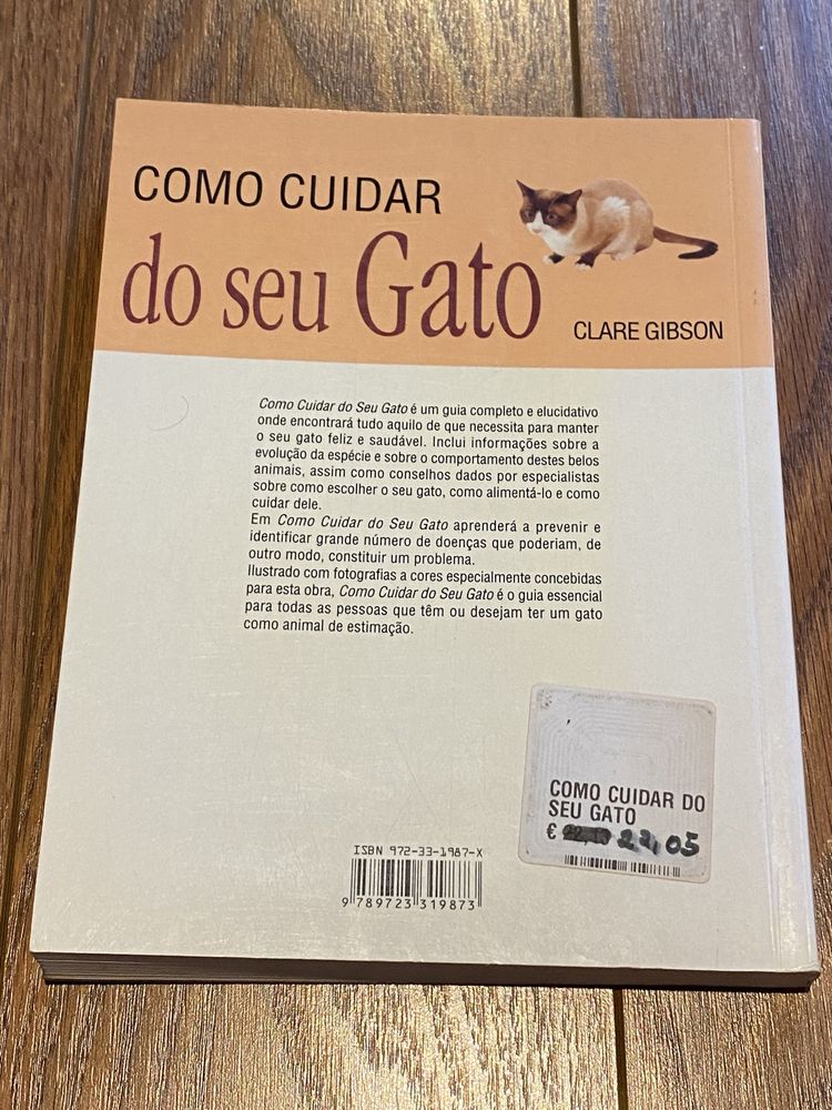 Como cuidar do seu gato