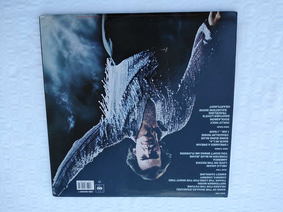Vinil Neil Diamond