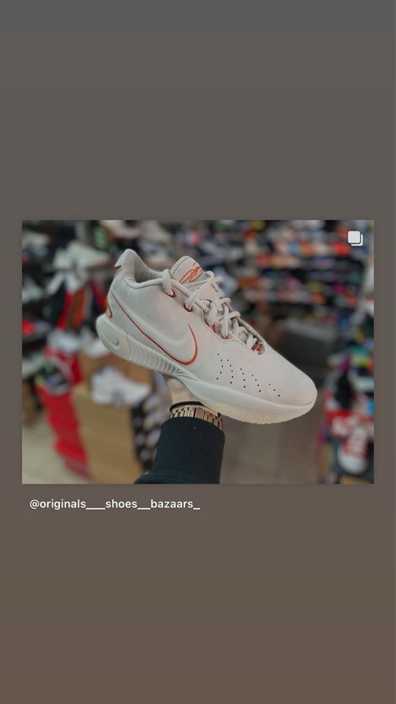 Баскетбольні кросівки Nike Lebron 21 AKOYA light Bone