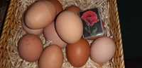 Яйца куриные домашние десяток.