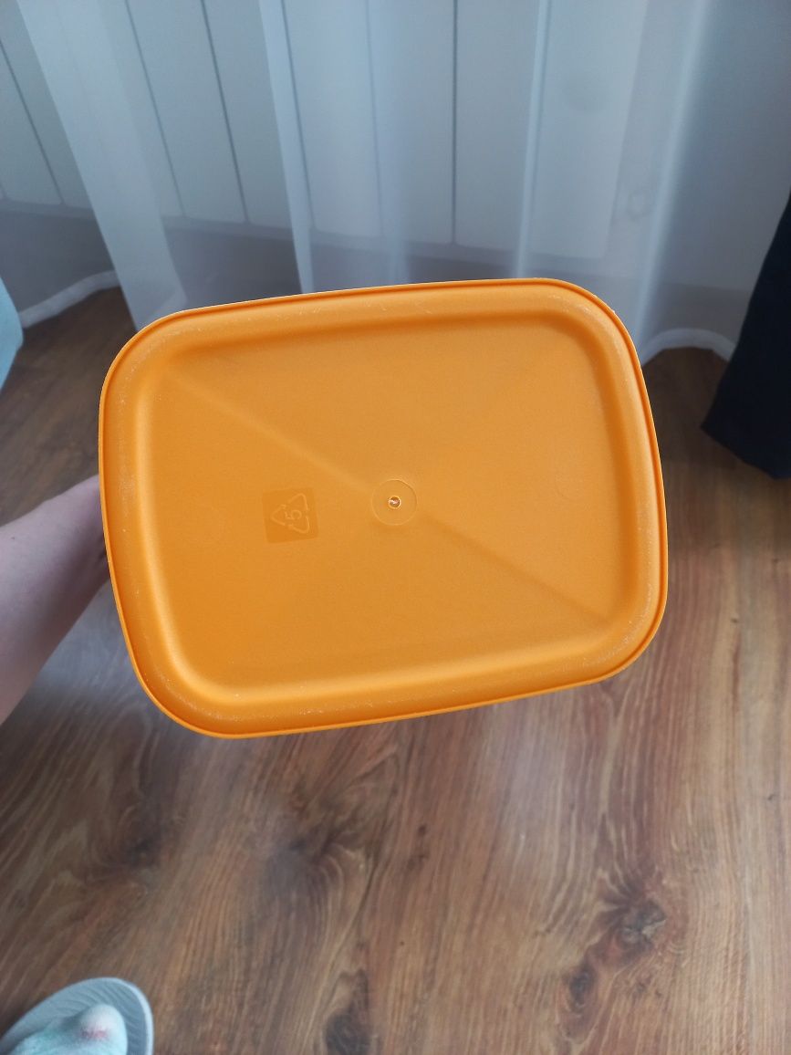 Pojemnik Curver liski