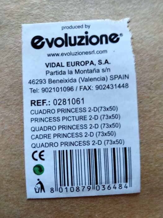 Quadro das Princesas Disney 73x50cm