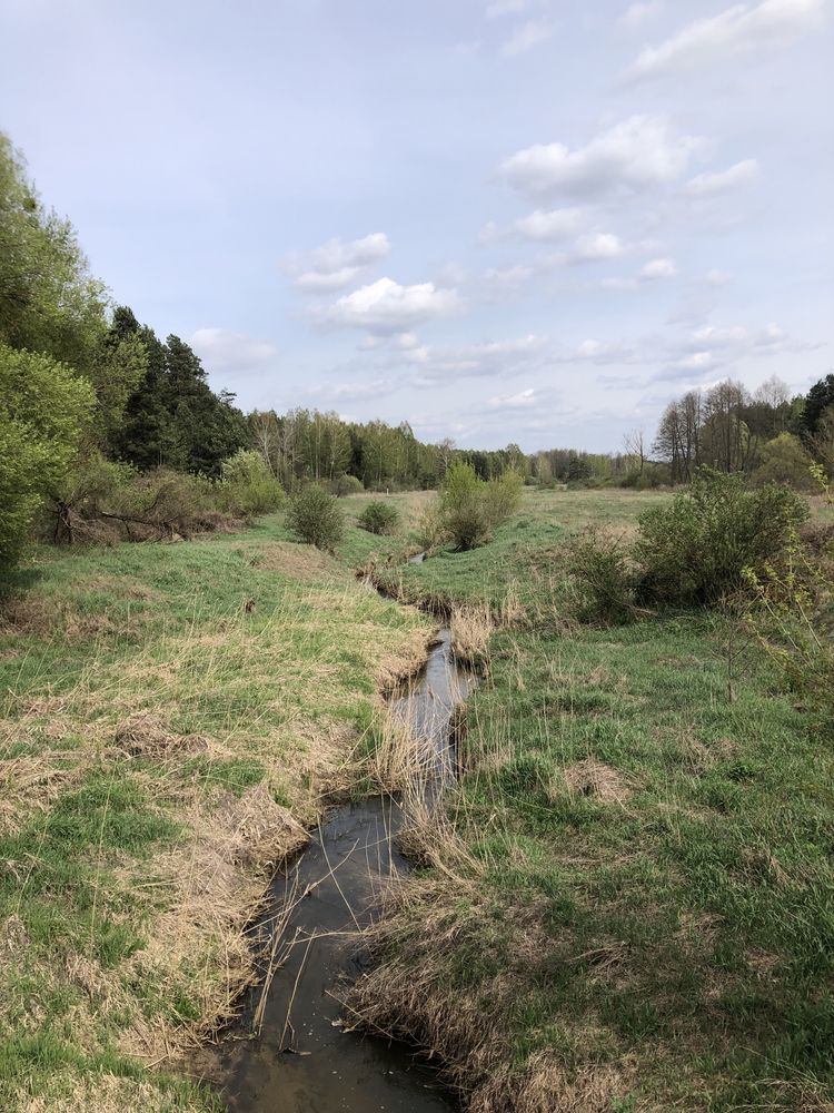 Продам ДАЧУ з газом біля річки. 40 000 дол