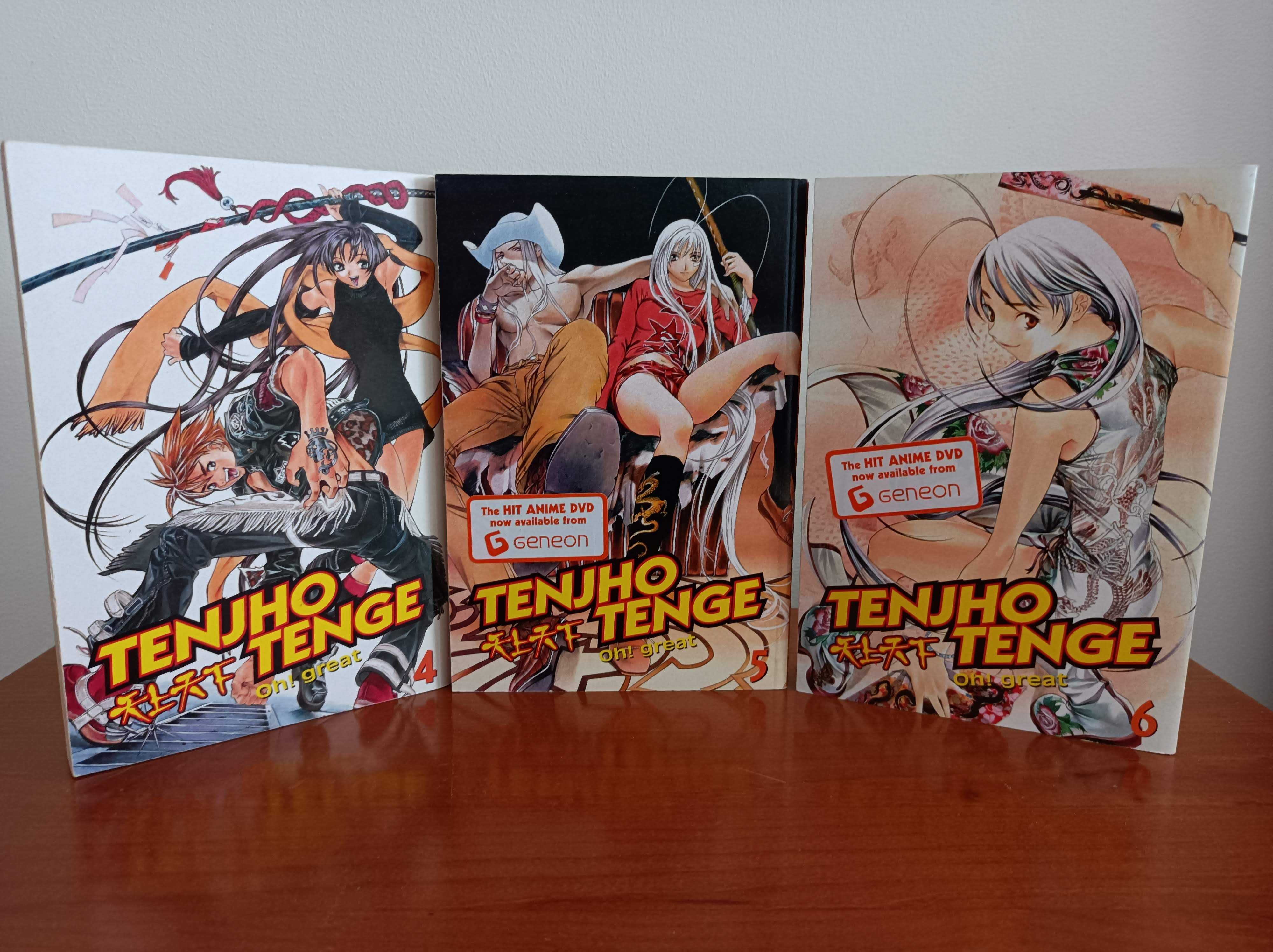 Manga Tenjou Tenge (12 vols)(Inglês)
