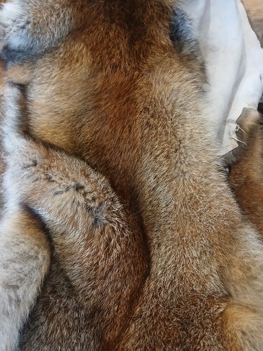 Skóry  z lisa garbowane