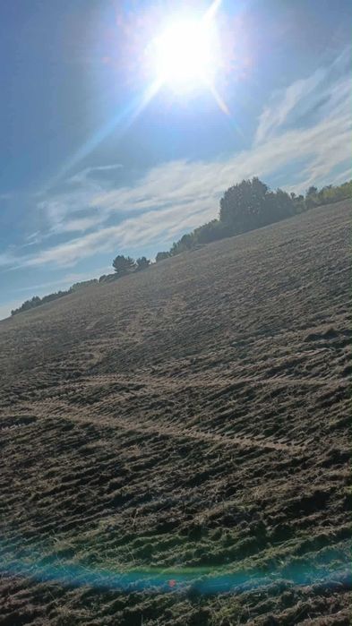 Sprzedam grunty rolne