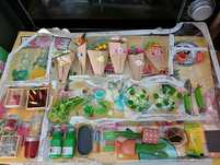 Miniverse mini verse botanicals MGA