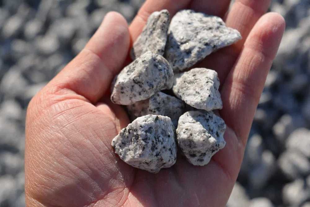 Dalmatyńczyk 16-22 kruszywo kamień dekoracyjny kamień ozdobny