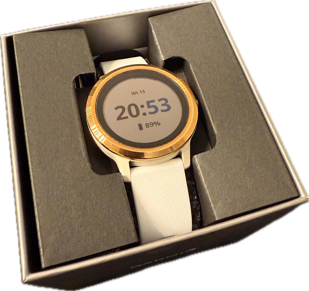Garmin vivoactive 3