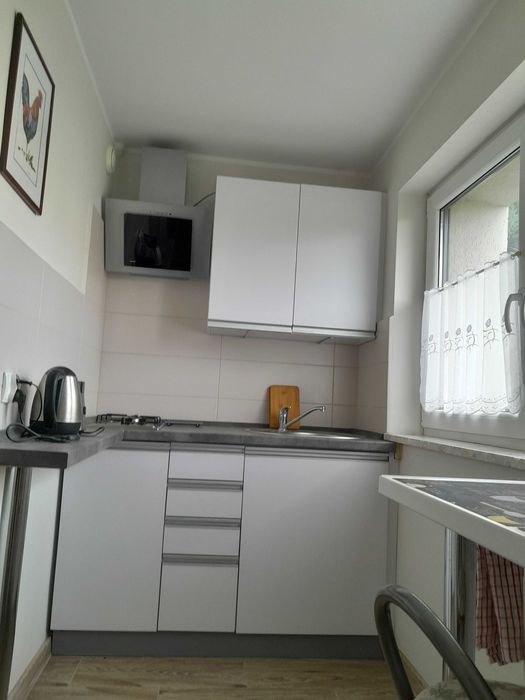 Wynajem mieszkania dla jednej osoby w domu z ogrodem