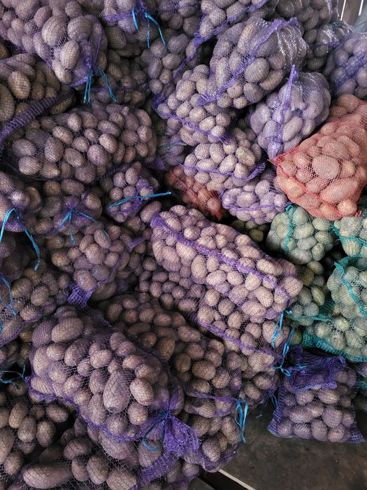 Продам картоплю дуже смачна, ДОСТАВКА. БЕЗ ХІМІКАТІВ бульба картофель