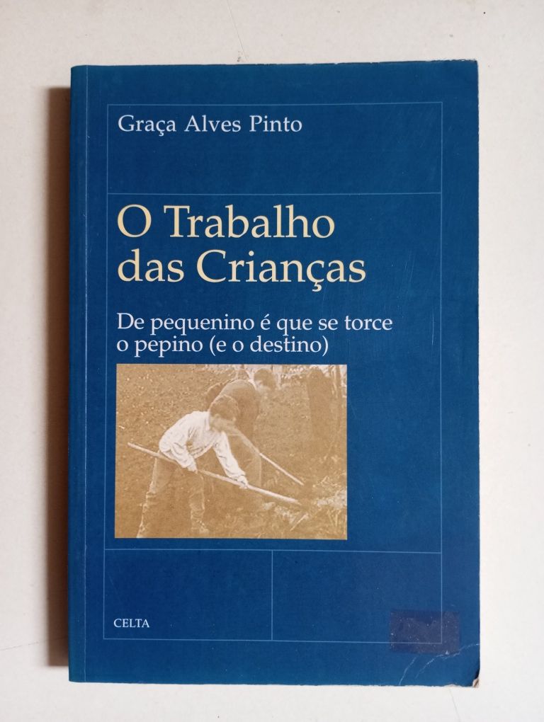 O trabalho das Crianças - Graça Alves Pinto