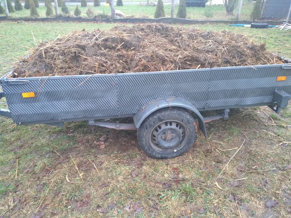 Sprzedam obornik koński