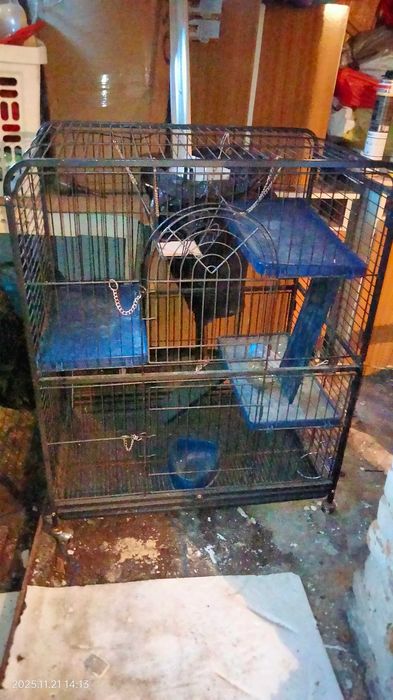 Klatka dla zwierząt