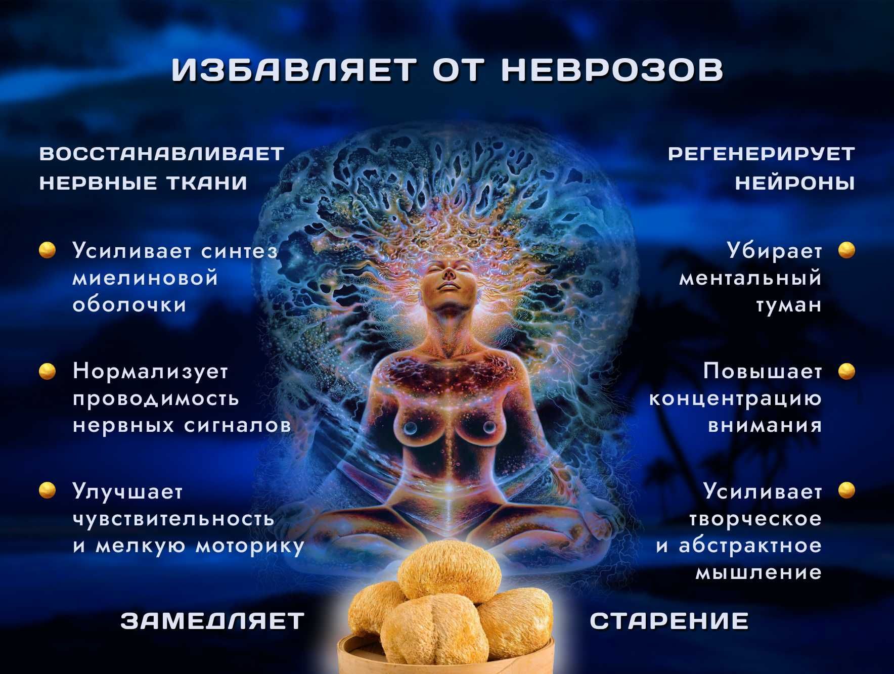 Купите сушенные плоды гриба ЕЖОВИК ГРЕБЕНЧАТЫЙ 》Выращен в Украине