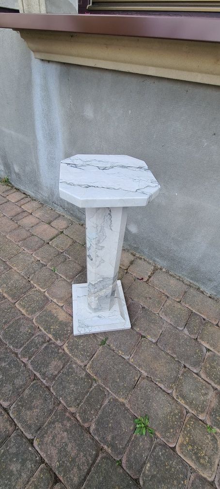 Kwietnik kamienny domowy