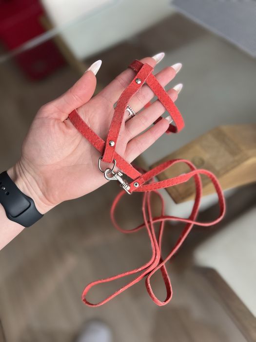 повідець для котика чи маленької собачки