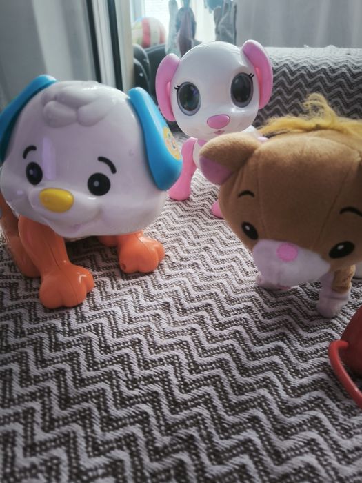 Robô verbaut, dog tou,tou gato de passeio