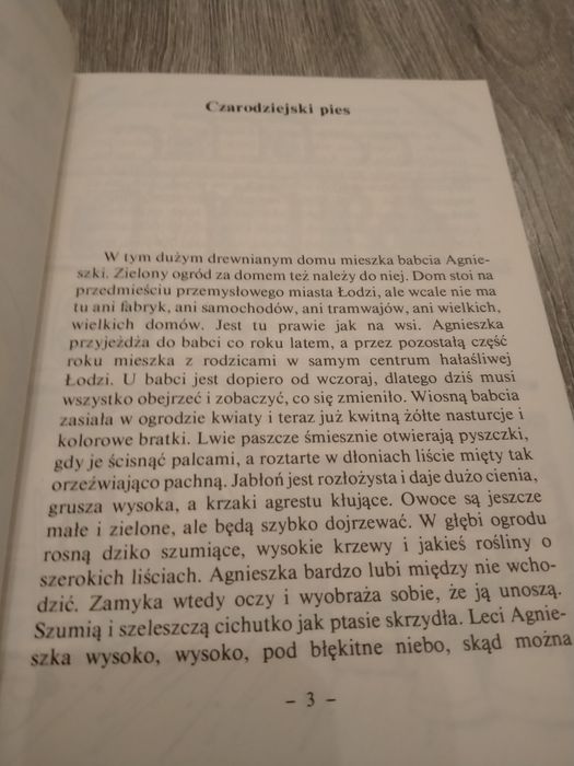 Lucyna Skompska Wakacje na guziku