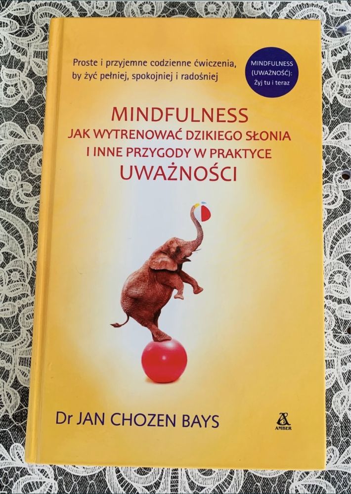 Mindfulness jak wytrenować dzikiego słonia Jan Chozen Bays uwaznosc