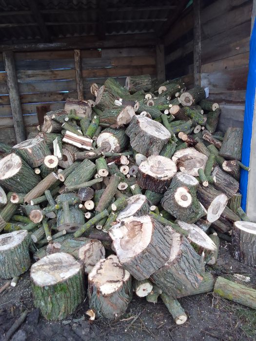 Дрова мікс 1777 грн 1 куб Городок