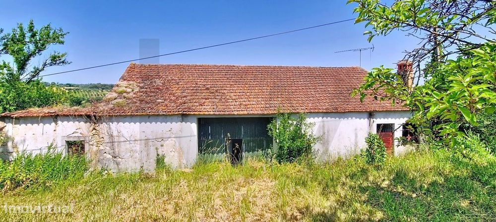 Moradia independente em Madalena e Beselga, Tomar