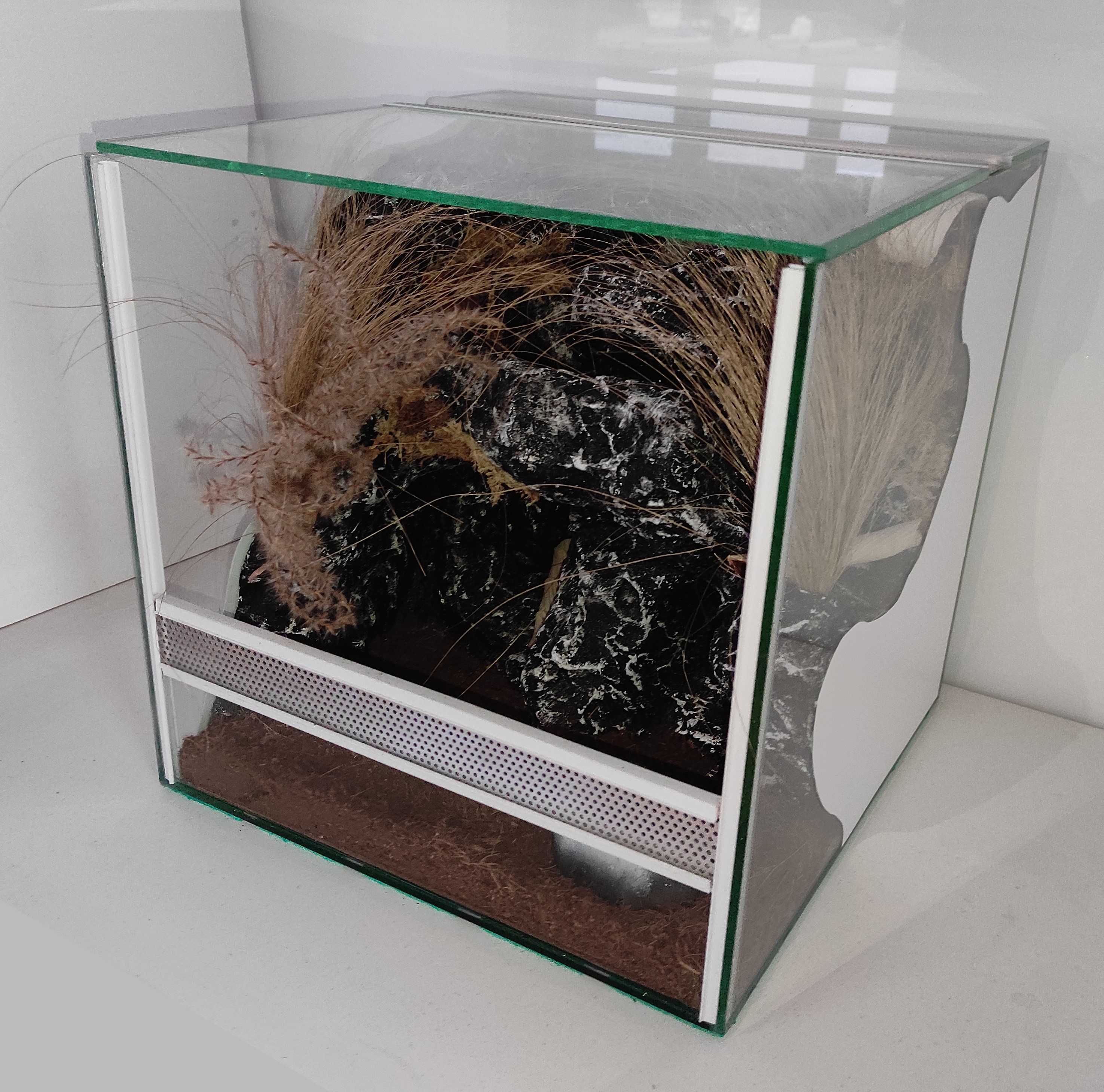 Terrarium dla ptasznika, TW49ST, AquaWaves