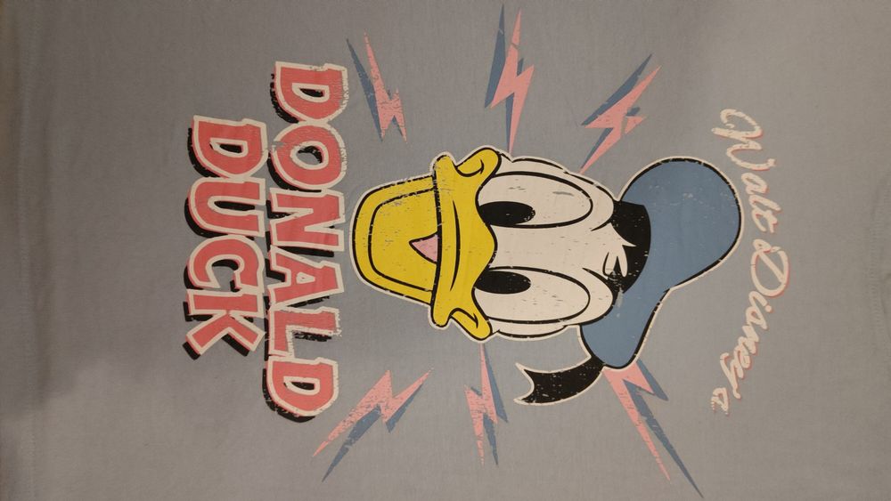 Donald Duck kaczor Donald Wald Disney