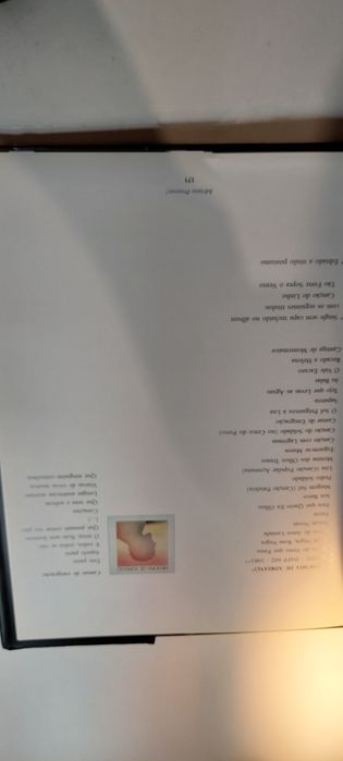 Adriano, Presente! - Manuel Reis