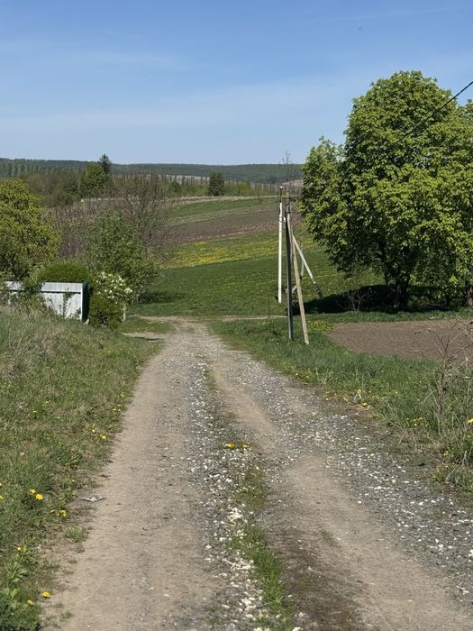 Продам 10 сот. Давидківці вул. Київська Центр