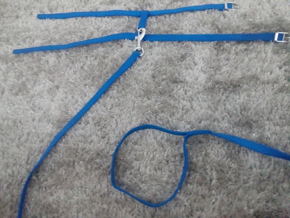Coleiras para gatos