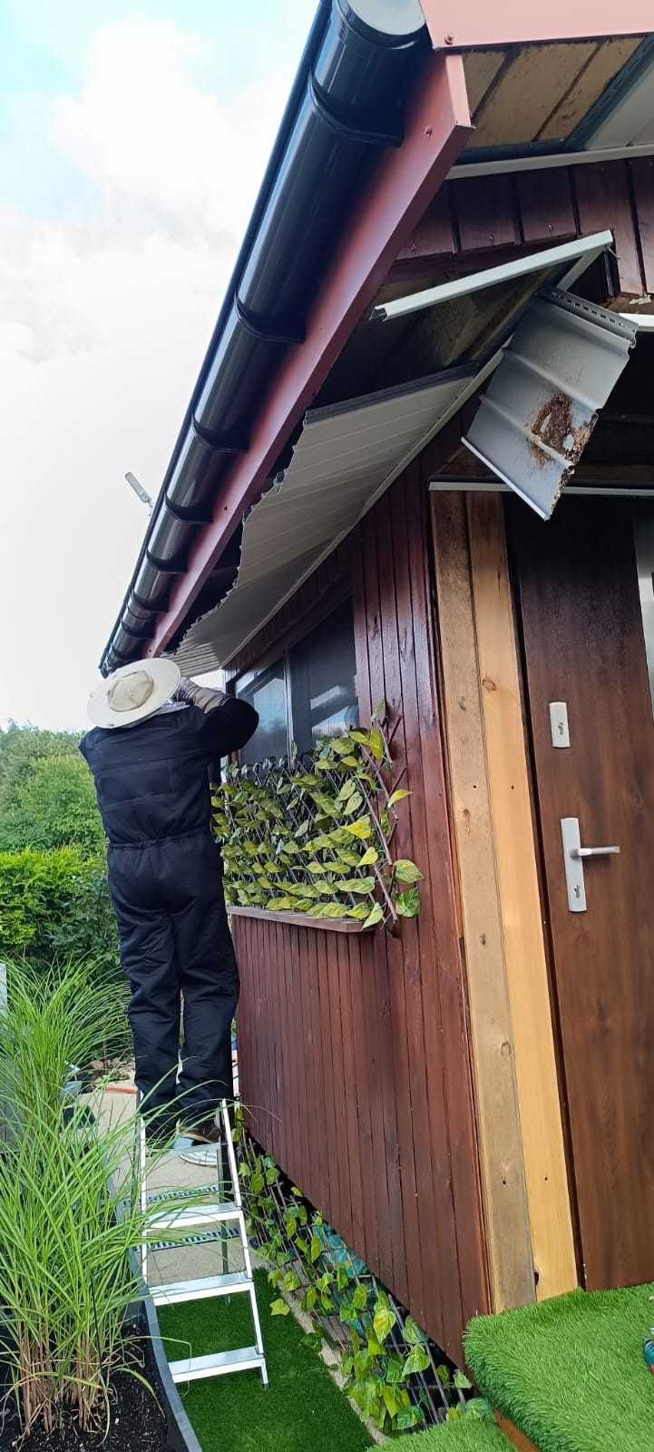 Zwalczanie Pluskiew, Karaluchów, Kretów, usuwanie gniazd OS, Szerszeni