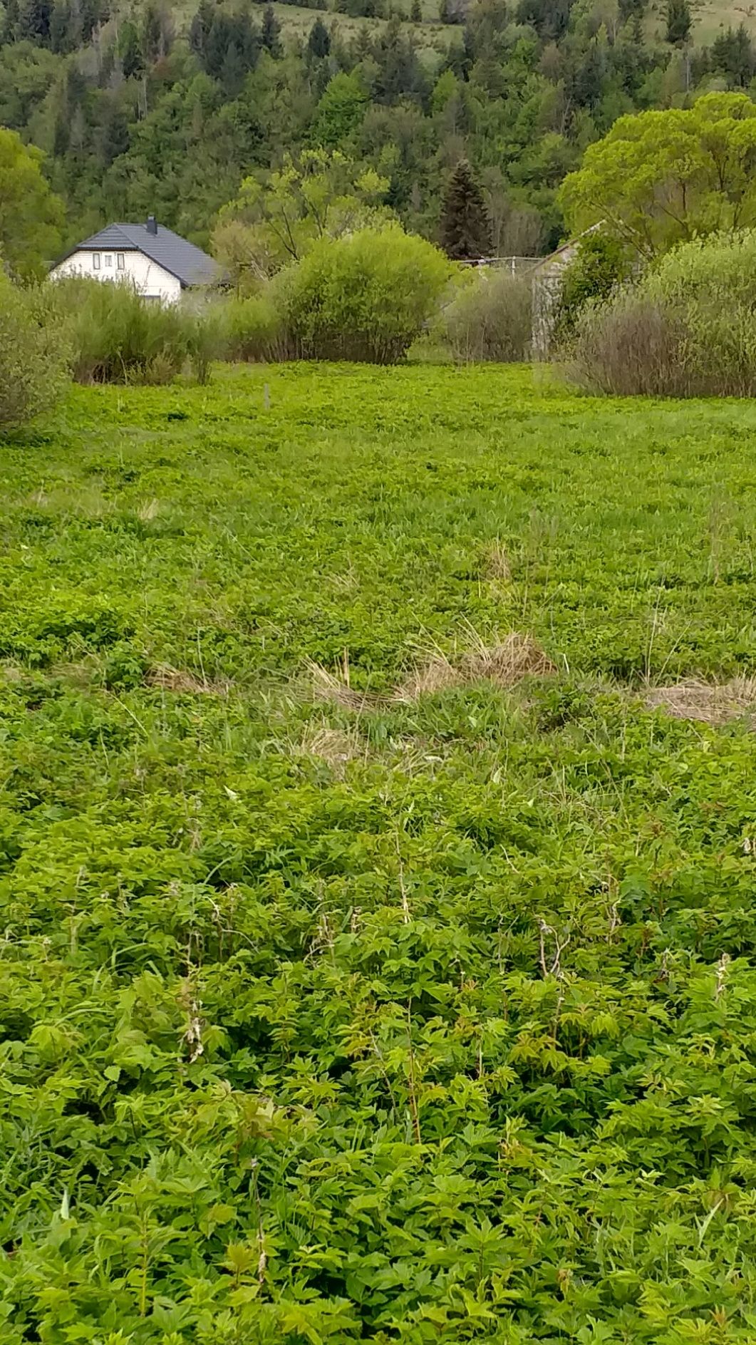 Земельна ділянка під забудову
