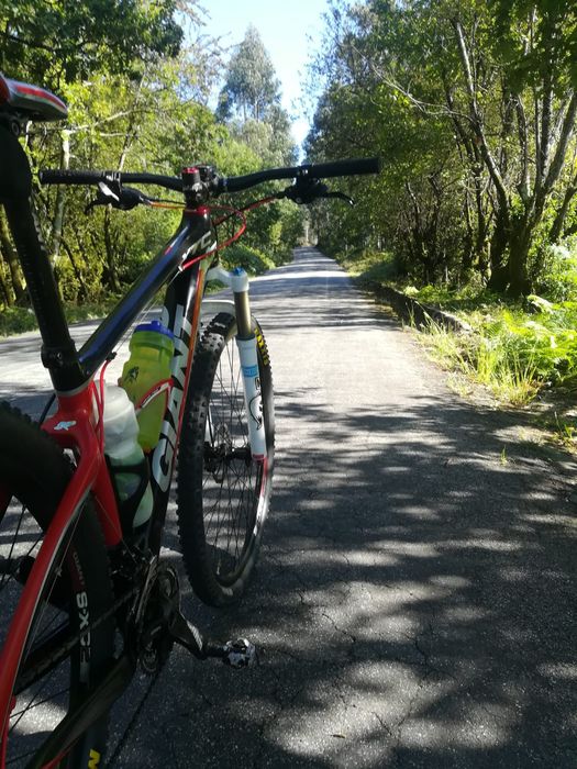 BTT Giant Carbono 29