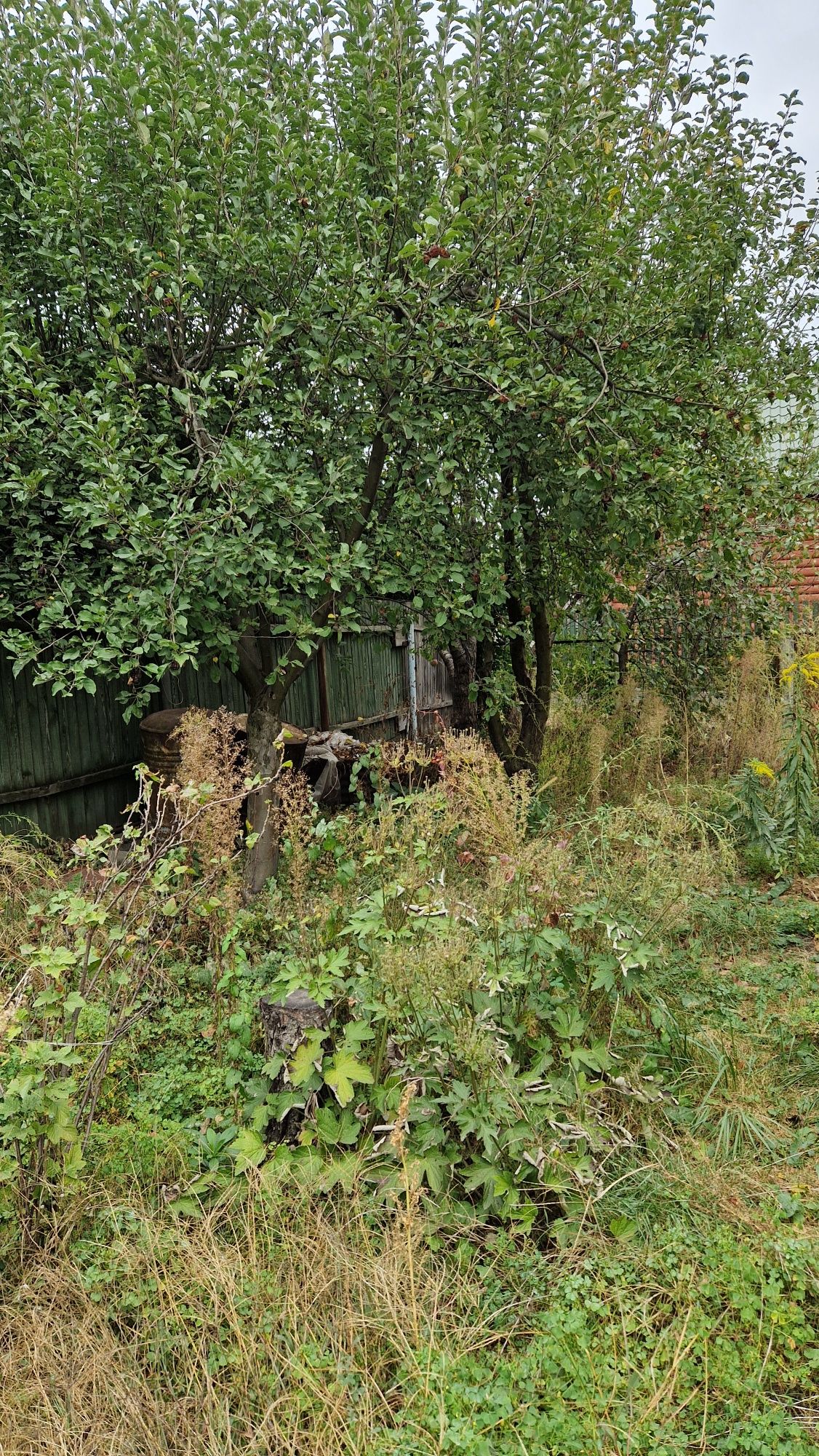 Дача Воїн - 2 Житомирська траса