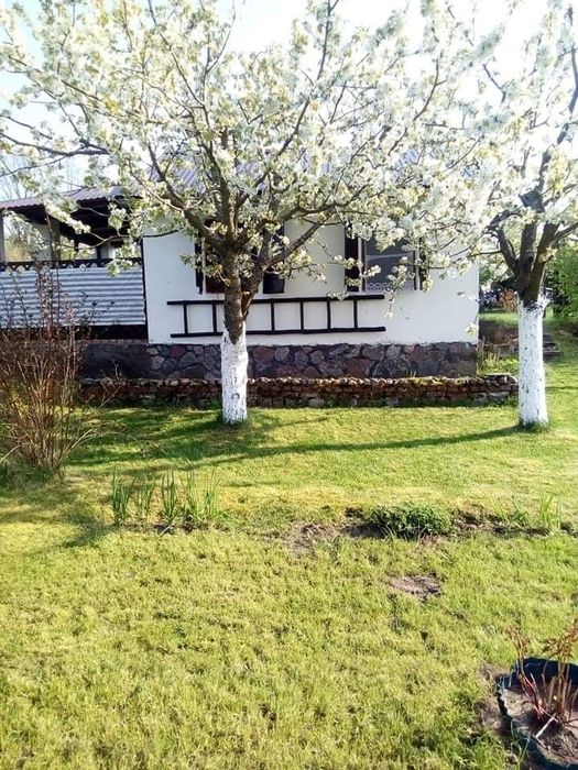 Działka ROD „Zgoda” Orzysz – 600 m² z domkiem murowanym.