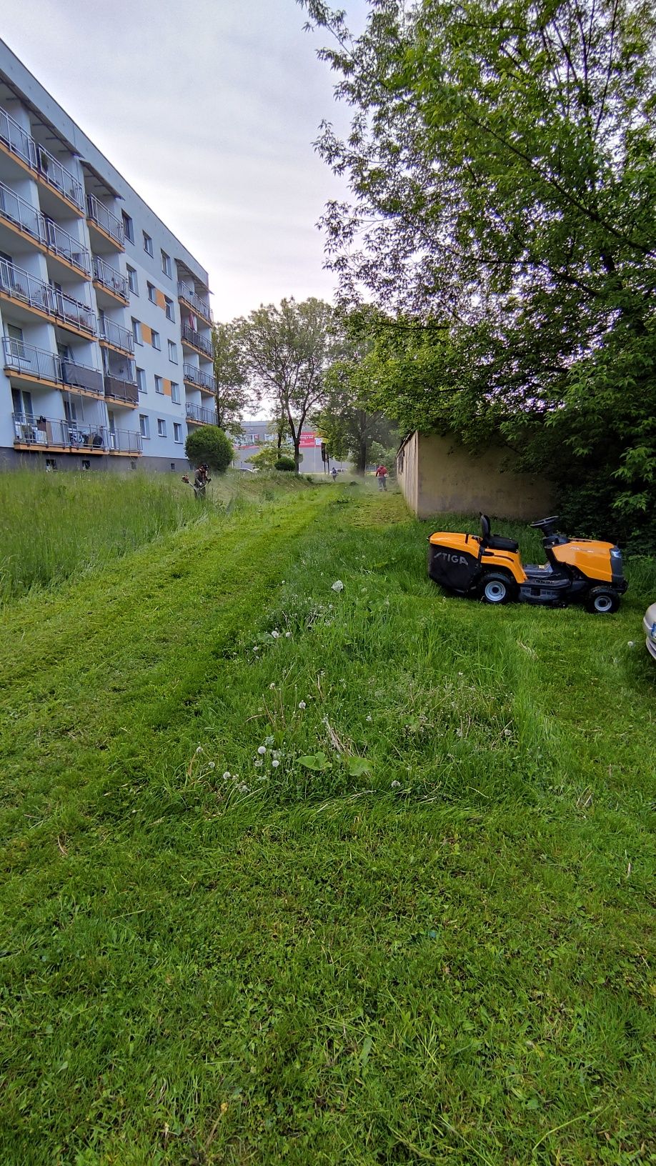 Koszenie trawy, przycinanie żywopłotów