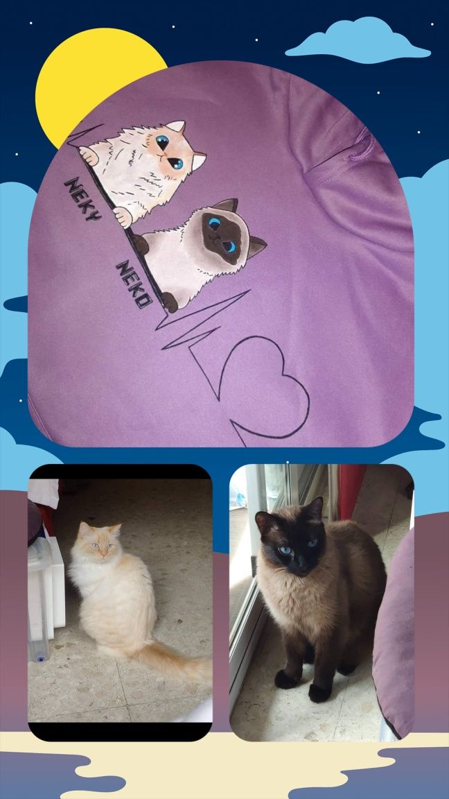 Por encomenda, personalize sweatshirt com o seu pet