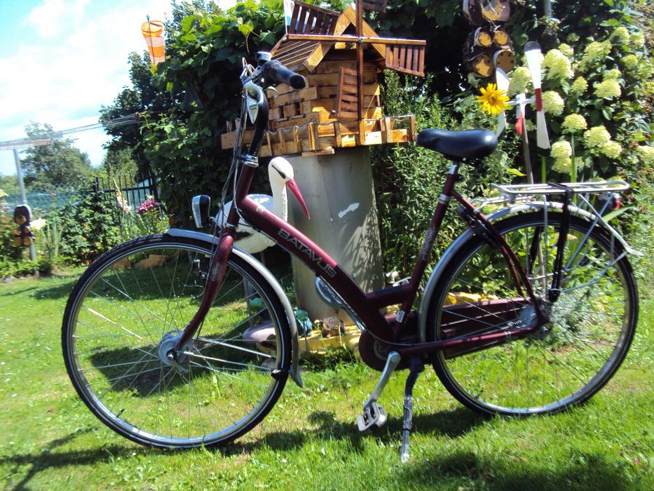 Rower holenderski Batavus