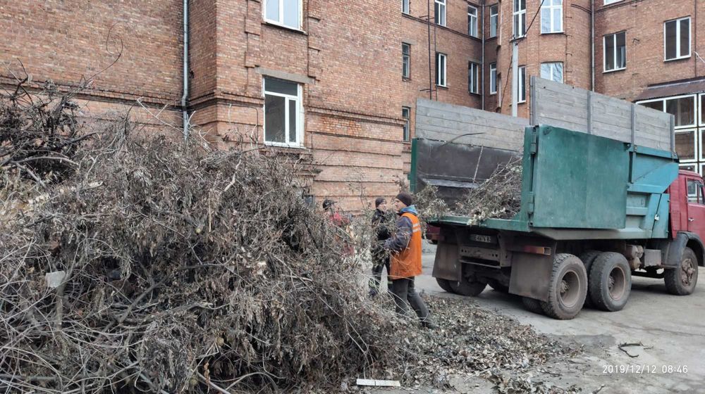 Вивезення смітя, розчистка територій, обрізка дерев