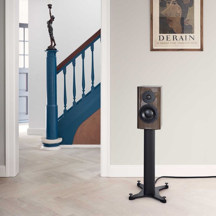 Dynaudio Special Forty - акустичні системи