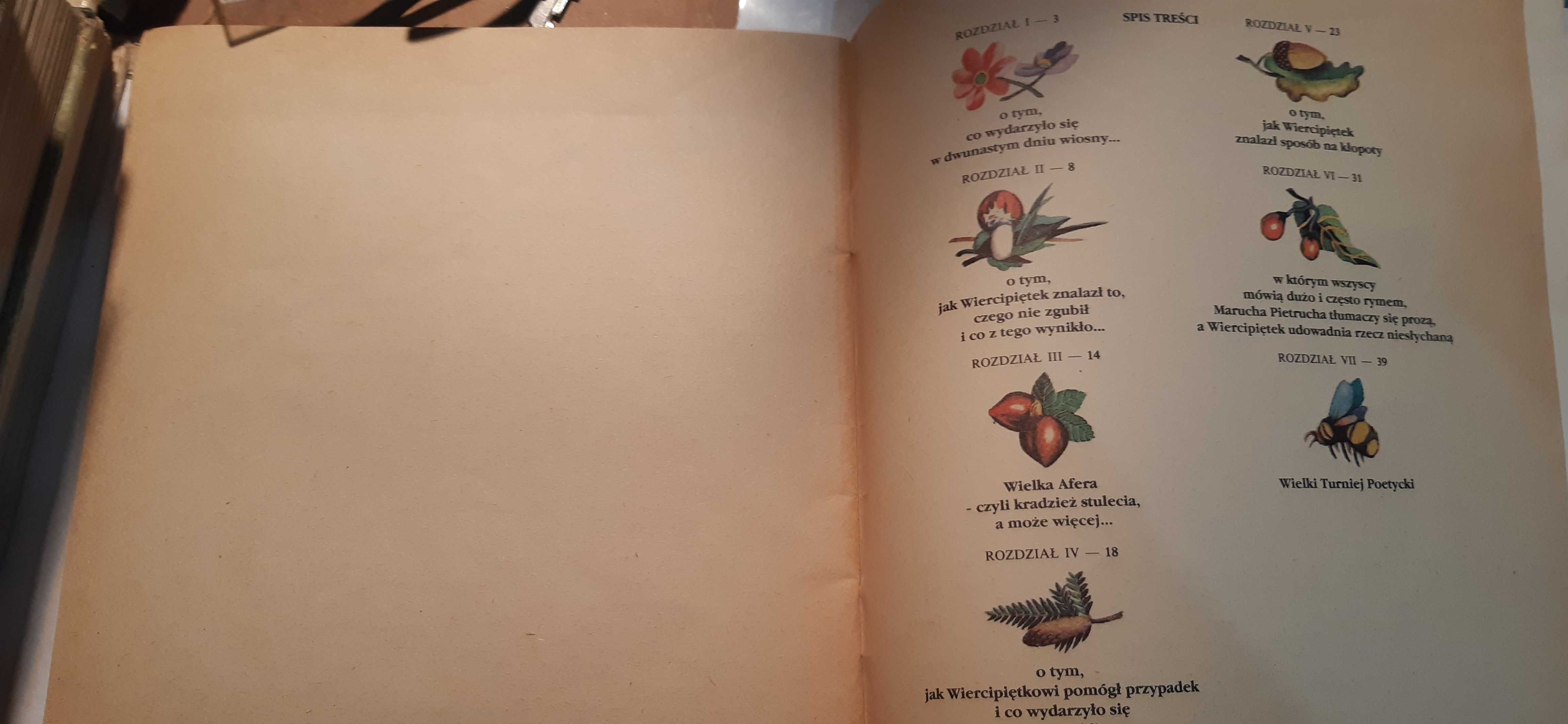 Przygody skrzata Wiercipiętka - Andrzej Grabowski