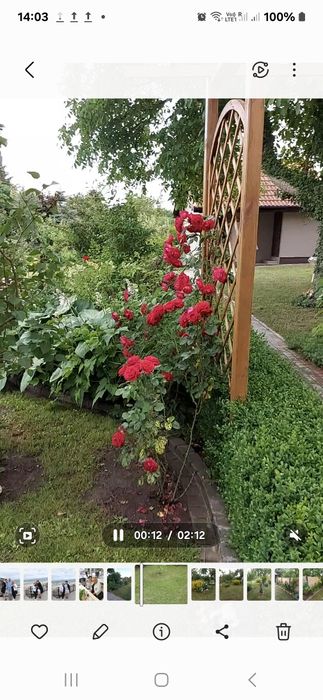 Sprzedam działkę Rod