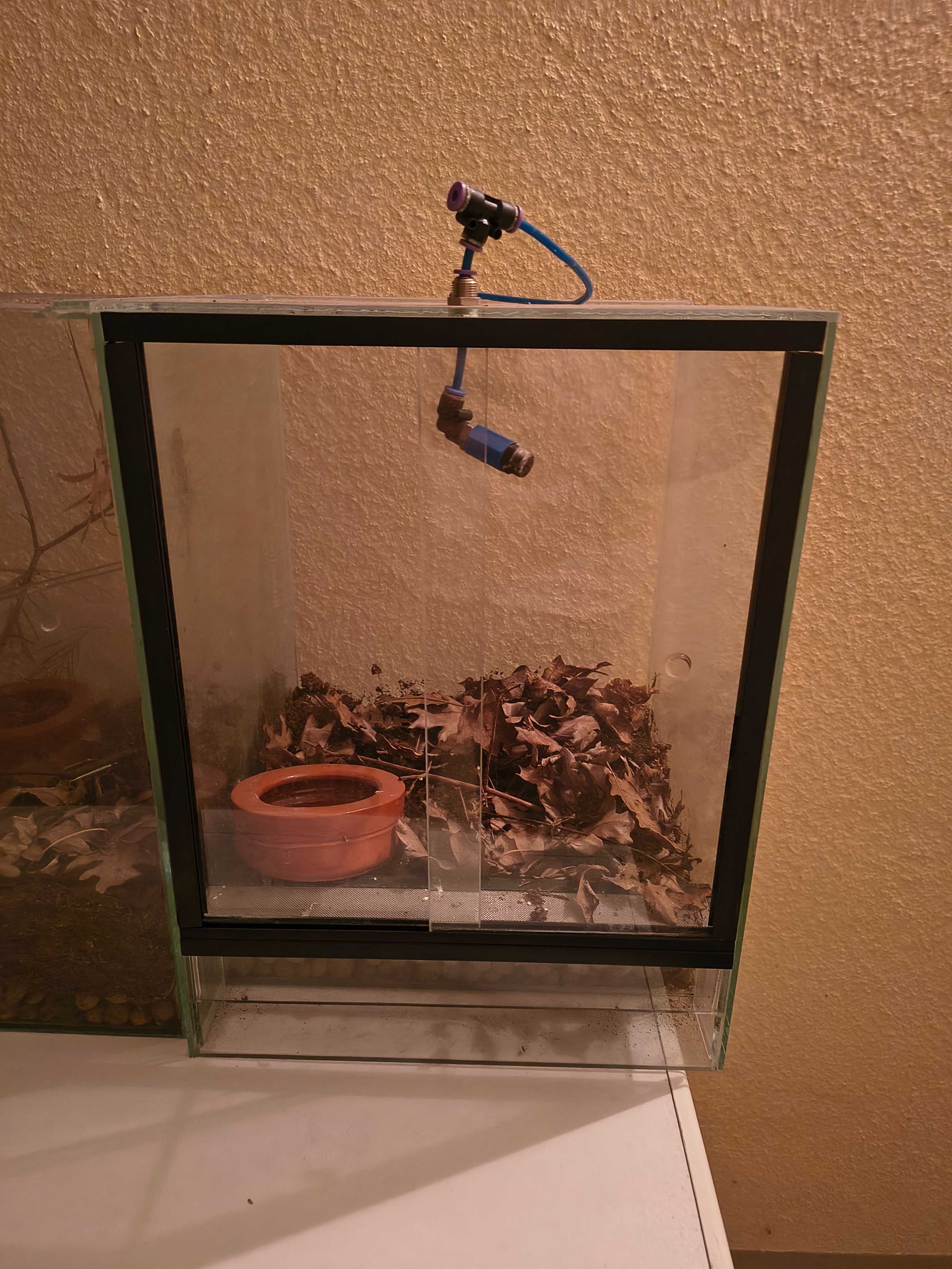 Terrários em vidro